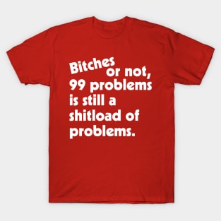 Bitches or Not, 99 Problems is Still a Shitload of Problems T-Shirt